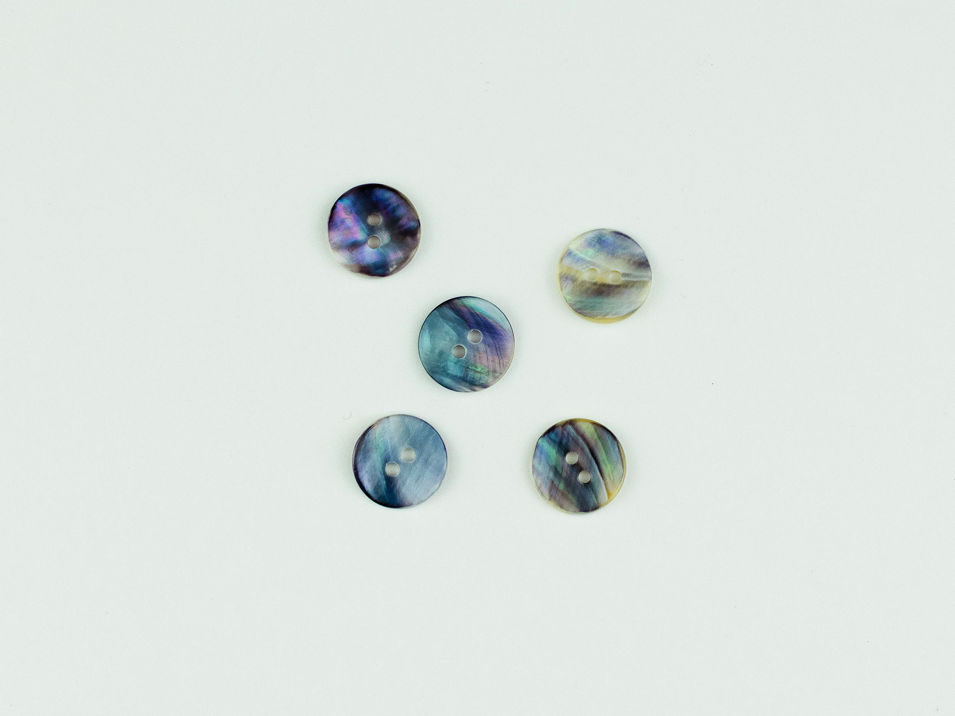 mussel shell round buttons